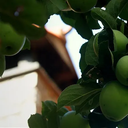 Casa di campagna Casitas Del Huerto *