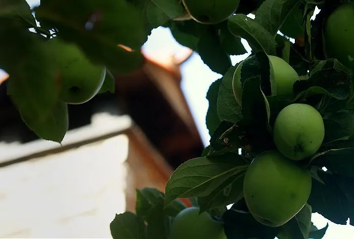 منزل ريفي Casitas Del Huerto *